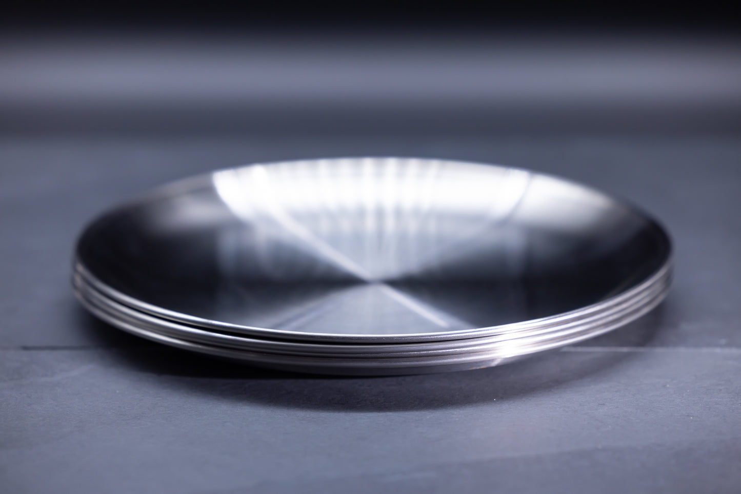 Stainless Steel Plates Set (x4)